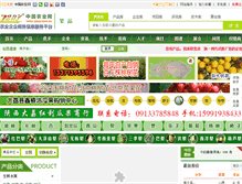 Tablet Screenshot of gp.zgny.com.cn